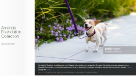 אמנדה פאונדיישן, צילום: יח"צ/ צילום מסך