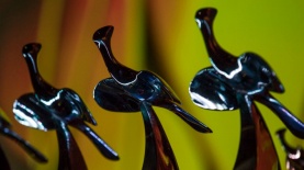 Loeries, צילום: יח"צ