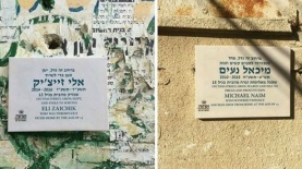 אותות. מהלך גרילה של שמעוני פינקלשטיין פרלמוטר, צילום: יח"צ