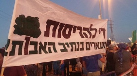 הפגנה נגד פינוי נתיב האבות, צילום: מטה המאבק בנתיב האבות