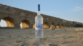 GREY GOOSE, צילום: יח"צ