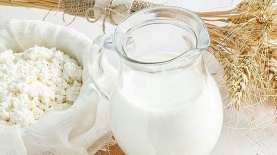 מועצת החלב בישראל, צילום: אתר המועצה