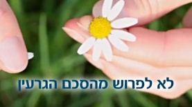 רופין. RTM, צילום: יח"צ