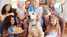 DOG, צילום: Depositphotos