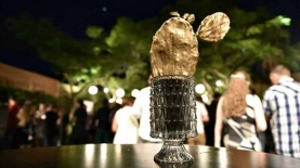 קקטוס 2018, צילום: נדב כהן יונתן