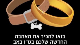 טו בהב, צילום: יח"צ