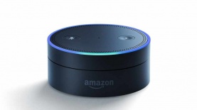 אמאזון. תנובה או טרה?, צילום: יח"צ