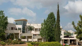 אורט בראודה, צילום: יח"צ