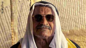 איי אופטיק, צילום: עופר חוג'יוב