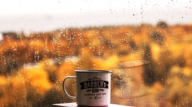 COFFEE, צילום: pexels