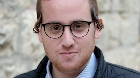 רפי פרלשטיין, צילום: יואב דודקביץ