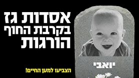 מפלגת צדק חברתי, צילום: יחסי ציבור