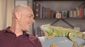 קמפיין איסתא 2019, צילום: צילום מסך