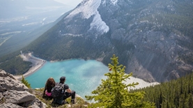 אייס 204, צילום: unsplash