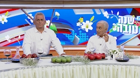 ארץ נהדרת, צילום: צילום מסך