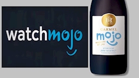 הלוגואים הדומים, צילום: מסך