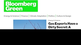 בלומברג גרין האתר, צילום: מסך מתוך אתר בלומברג גרין