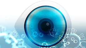 האח הגדול, צילום: רשת 13, pixabay