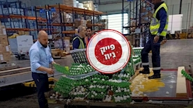 פייק ניוז, צילום: pixabay, מתוך אתר rotter