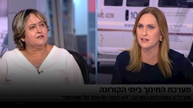 יפה בן דוד במהדורה המרכזית בערוץ 12, צילום: מסך קשת 12