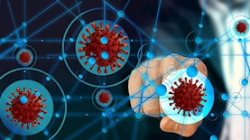 השפעות הקורונה, צילום: pixabay