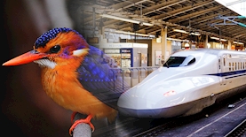 חיקוי של הטבע, צילום: unsplash, ויקיפדיה