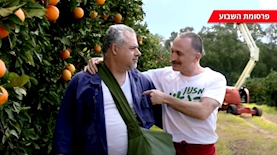 פרסומת השבוע: פריגת עושה כבוד לפרדסנים