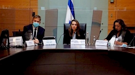 ועדת הקורונה בכנסת, צילום: דוברות הכנסת