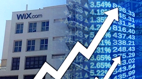 ויקס, צילום: pixabay, ויקיפדיה