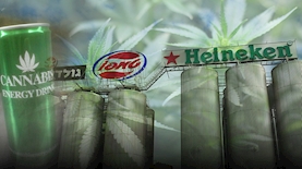 טמפו נכנסת לשוק הקנאביס, צילום: ויקיפדיה, freepik