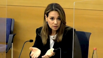 יפעת שאשא ביטון, צילום: מסך ערוץ הכנסת