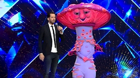 הזמר במסכה