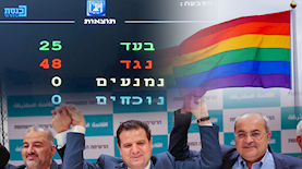 הקהילה הגאה נגד הרשימה המשותפת, צילום: ויקיפדיה, pexels