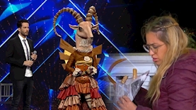 המירוץ למיליון, הזמר במסכה