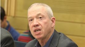 יואב גלנט, צילום: אתר הכנסת