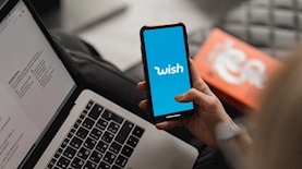 Wish, צילום: רשתות, Pixabay