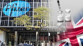 חברת פייזר, צילום: freepik, ויקיפדיה, pexels