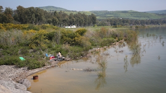 כנרת, צילום: דוד כהן פלאש 90