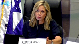 מיקי חיימוביץ', צילום: ערוץ הכנסת