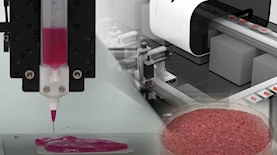 מיט-טק, צילום: מסך יוטיוב/i24 news