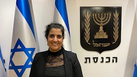 שגית אפק, צילום: דוברות הכנסת