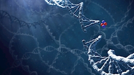 שתיל Alpha DaRT מכוסה רדיום-224 משחרר חלקיקי אלפא אל תוך הגידול