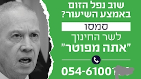 קמפיין מרצ נגד יואב גלנט, צילום: טוויטר יובל קרני