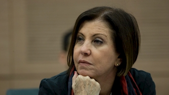 זהבה גלאון, צילום: יהונתן סינדל פלאש 90