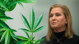 ציפי לבני וקנאביס, צילום: פלאש 90