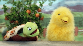 פרפר נחמד, צילום: באדיבות כאן חינוכית