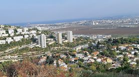 נשר, צילום: ויקיפדיה