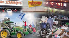 חקלאים ורשתות שיווק, צילום: ויקיפדיה, פלאש 90