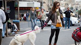 אורנה פיטוסי, צילום: משה שי פלאש90