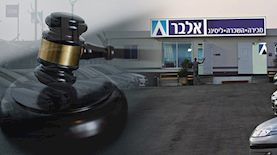 חברת אלבר, צילום: פייסבוק/ חברת אלבר, pexels
